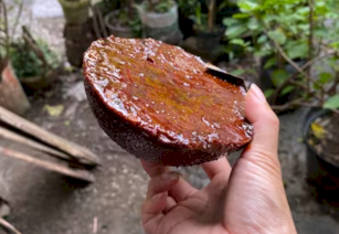 Organic Palm Sugar Making